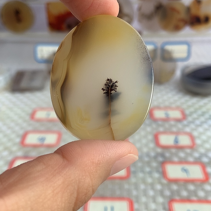 合金颈饰玛瑙/玉髓