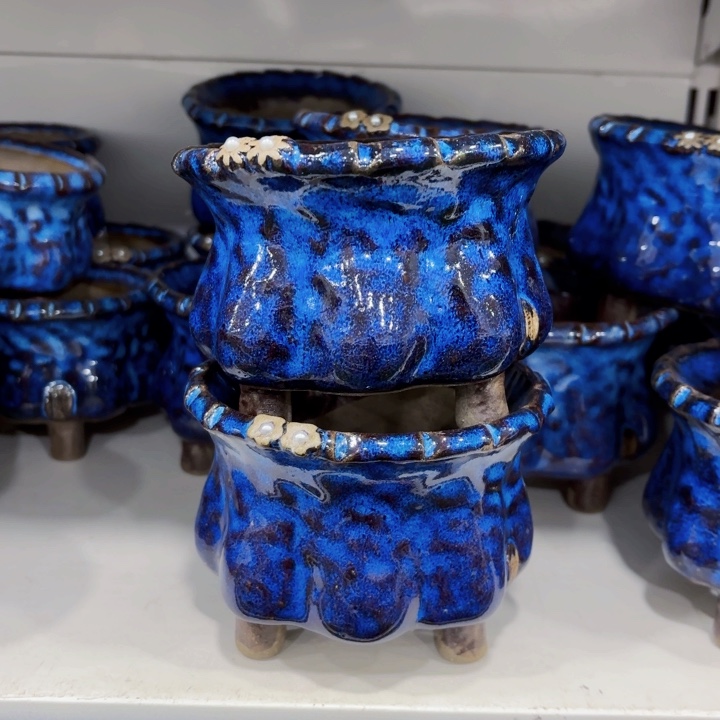 红陶内口9.5高9左右