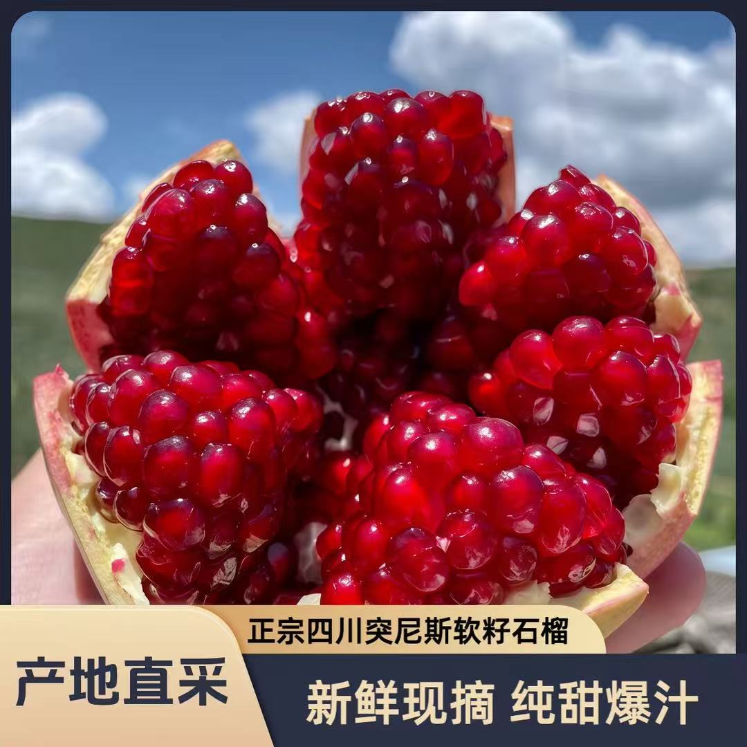 家乡时光-正宗会理突尼斯软籽石榴整箱5/9斤爆甜多汁应季水果