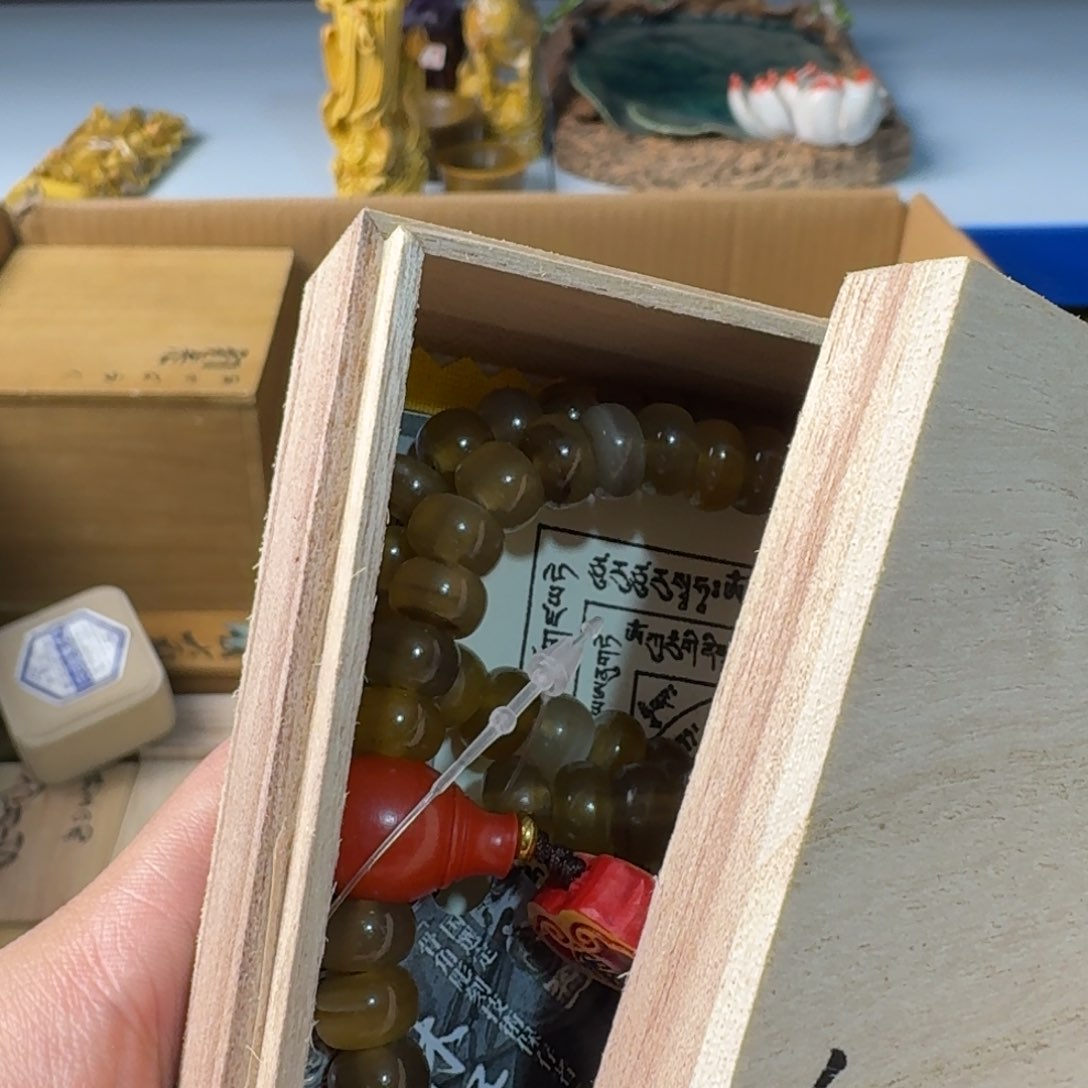 茶宠哈哈哈哈哈哈哈