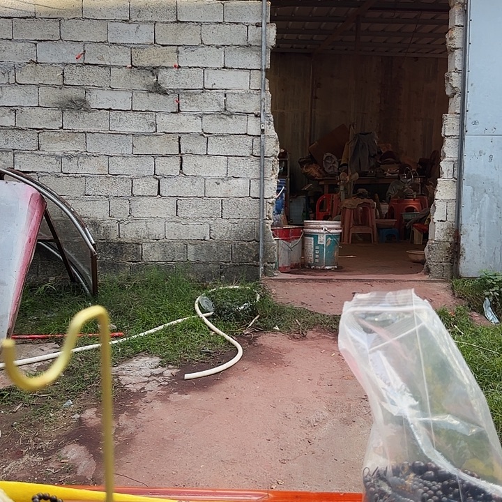 光***仔黄花梨/降香黄檀手串/手链