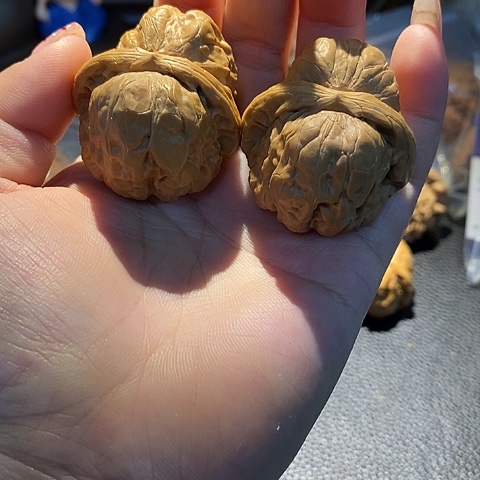 文玩核桃吊坠蛤蟆38