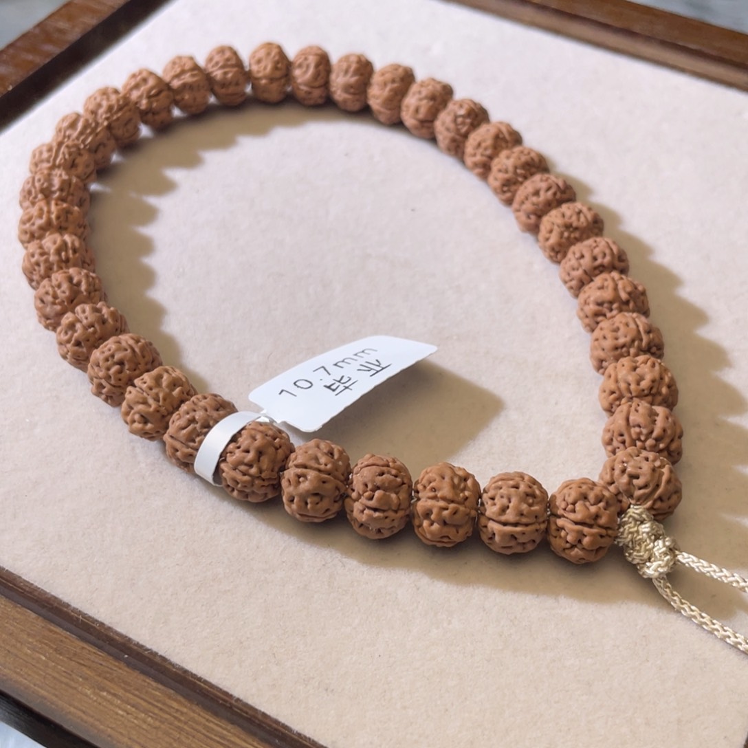 金刚菩提吊坠老树王毕业10.2