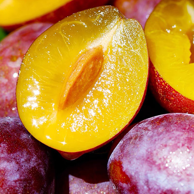 全爸农产品新疆伽师法兰西西梅新鲜水果香甜多汁现摘现（成都仓）