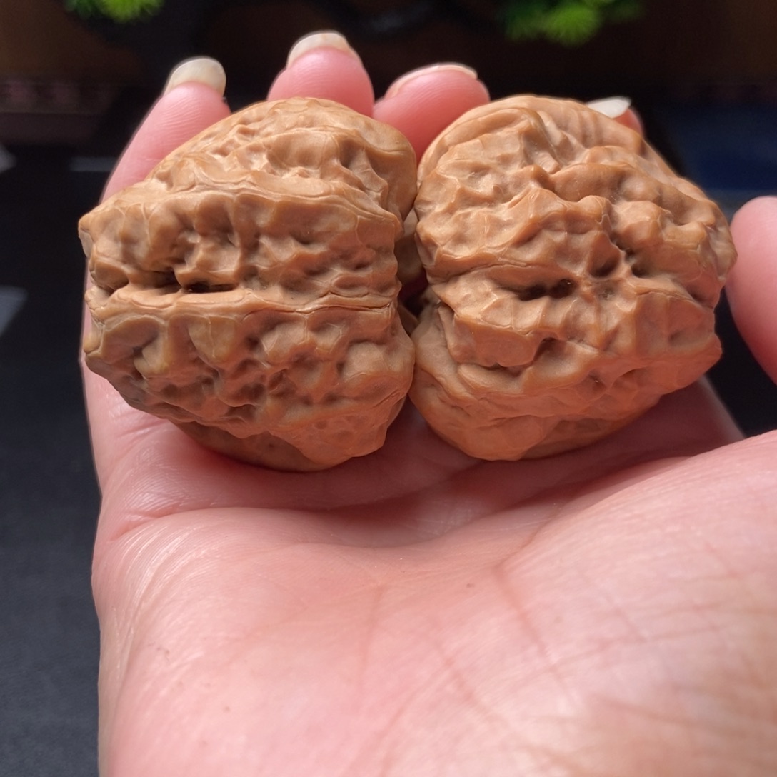 文玩核桃把件蛤蟆头42