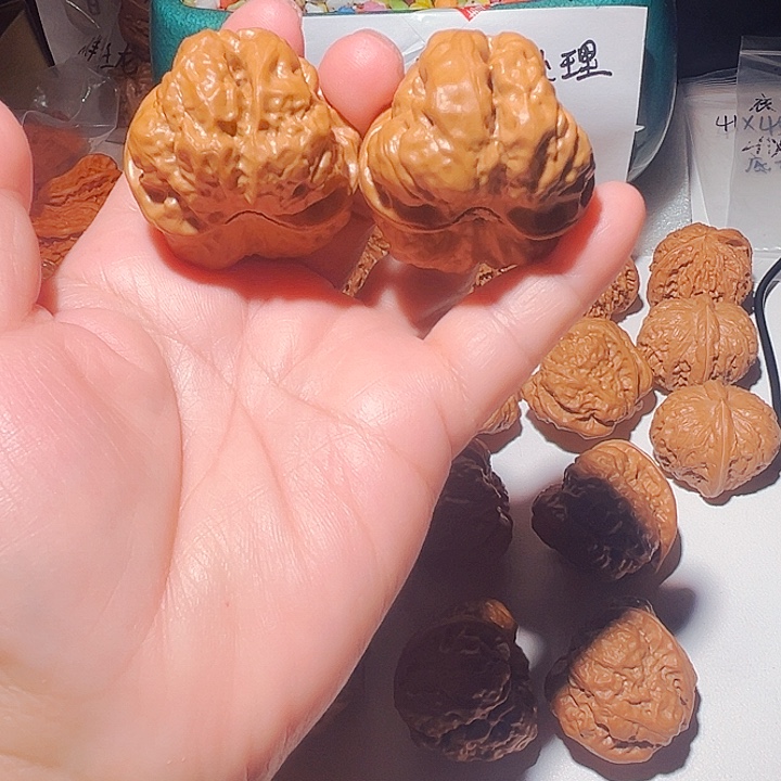 龙脊菩提吊坠蛤蟆头