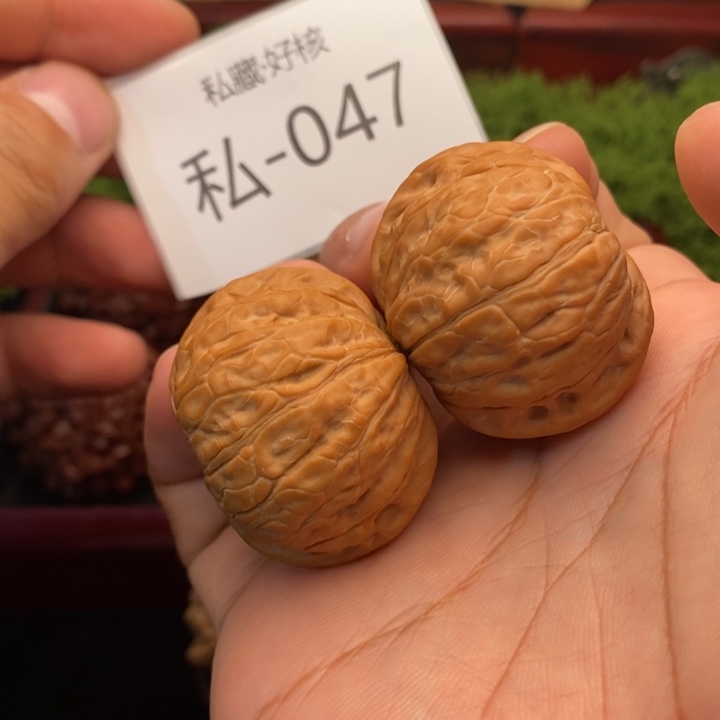 自***由把件文玩核桃39尺乾隆墨