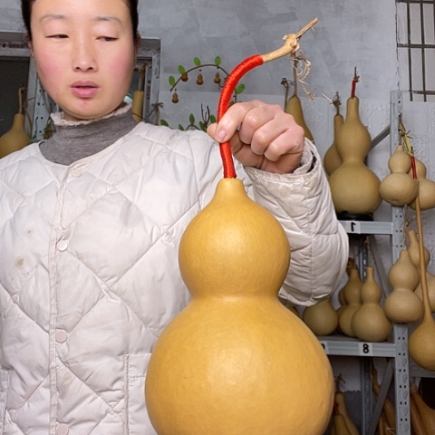 天然植物葫芦文玩