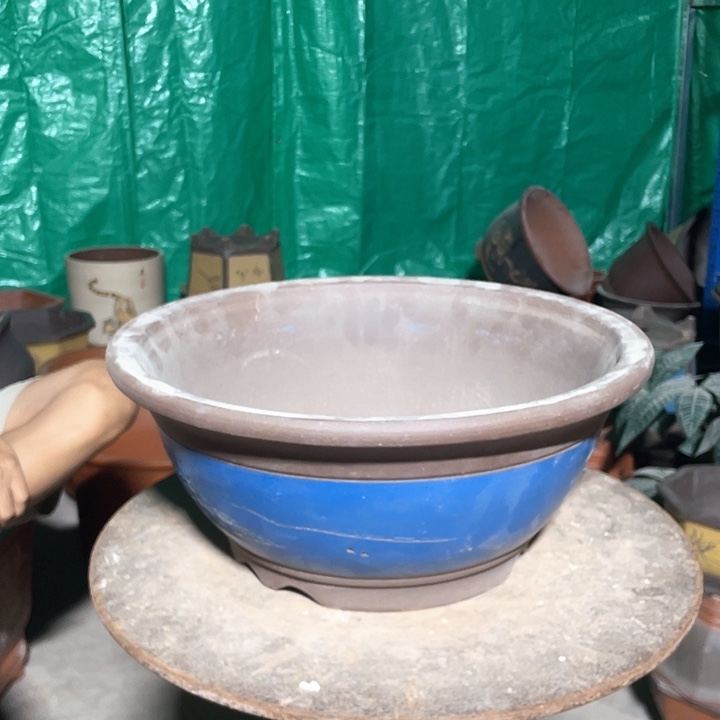 38蓝碗盆花盆花盆花盆花盆