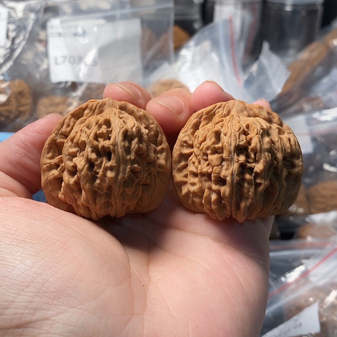 阿***大1文玩核桃蓟县楼子44-04