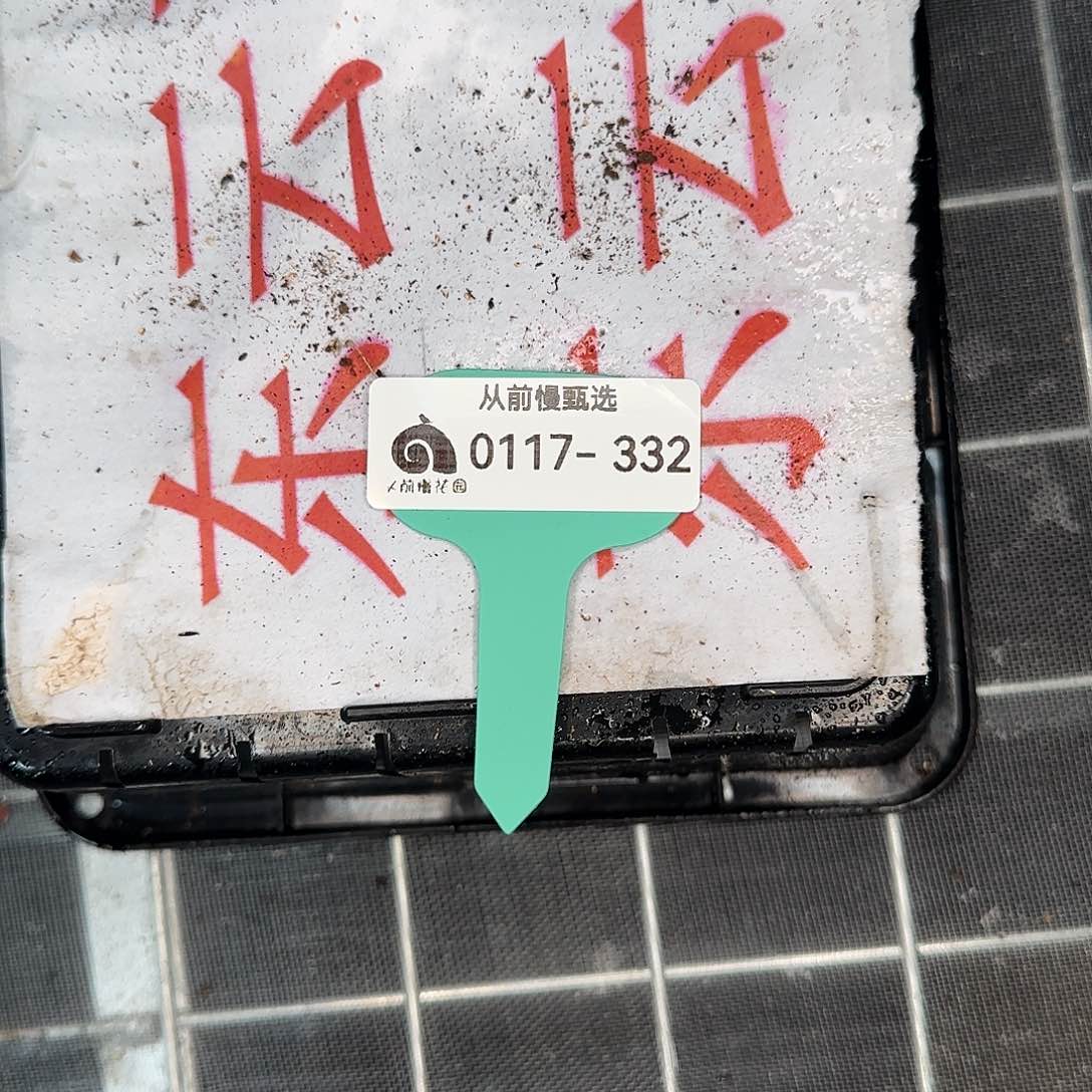 从前慢花园精选0117-332