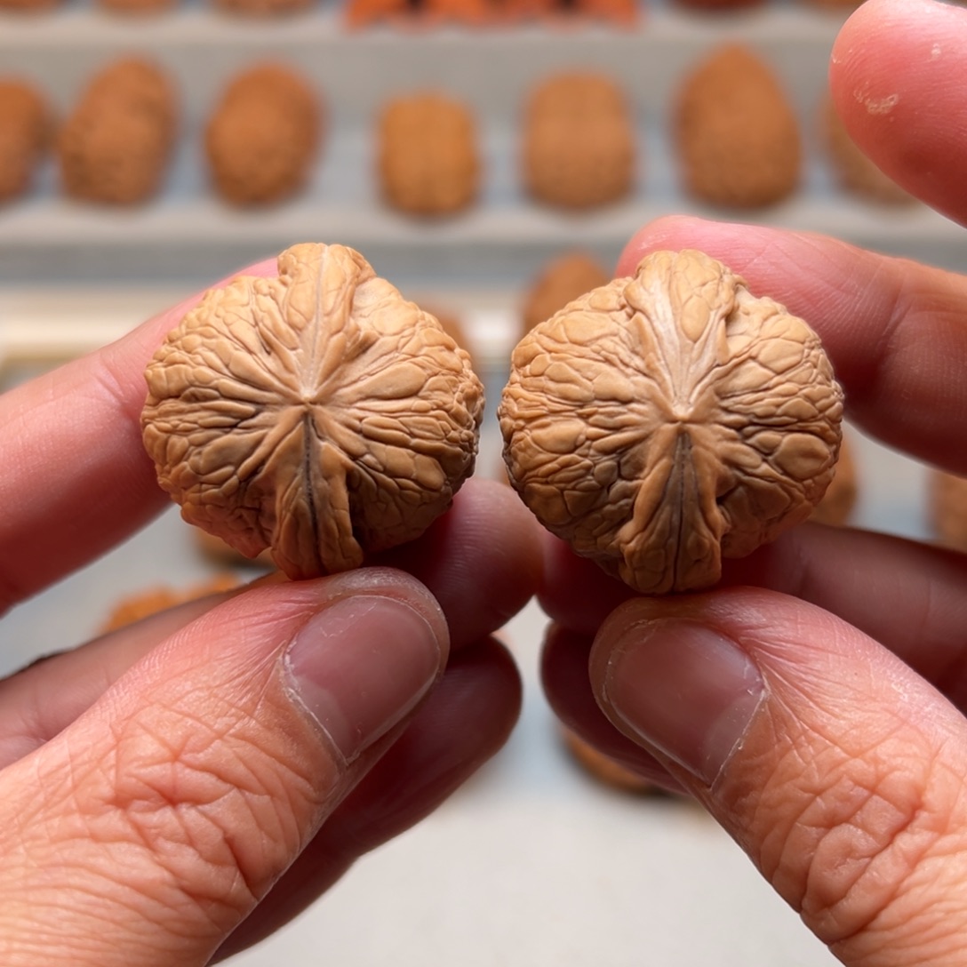 文玩核桃把件31乾坤元宝