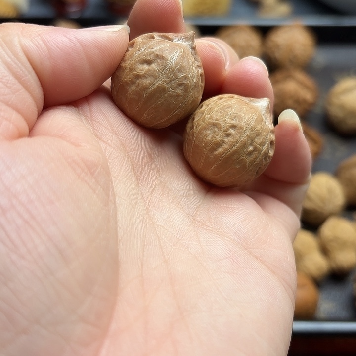 文玩核桃把件野生小核桃秋子小金豆手捻1892