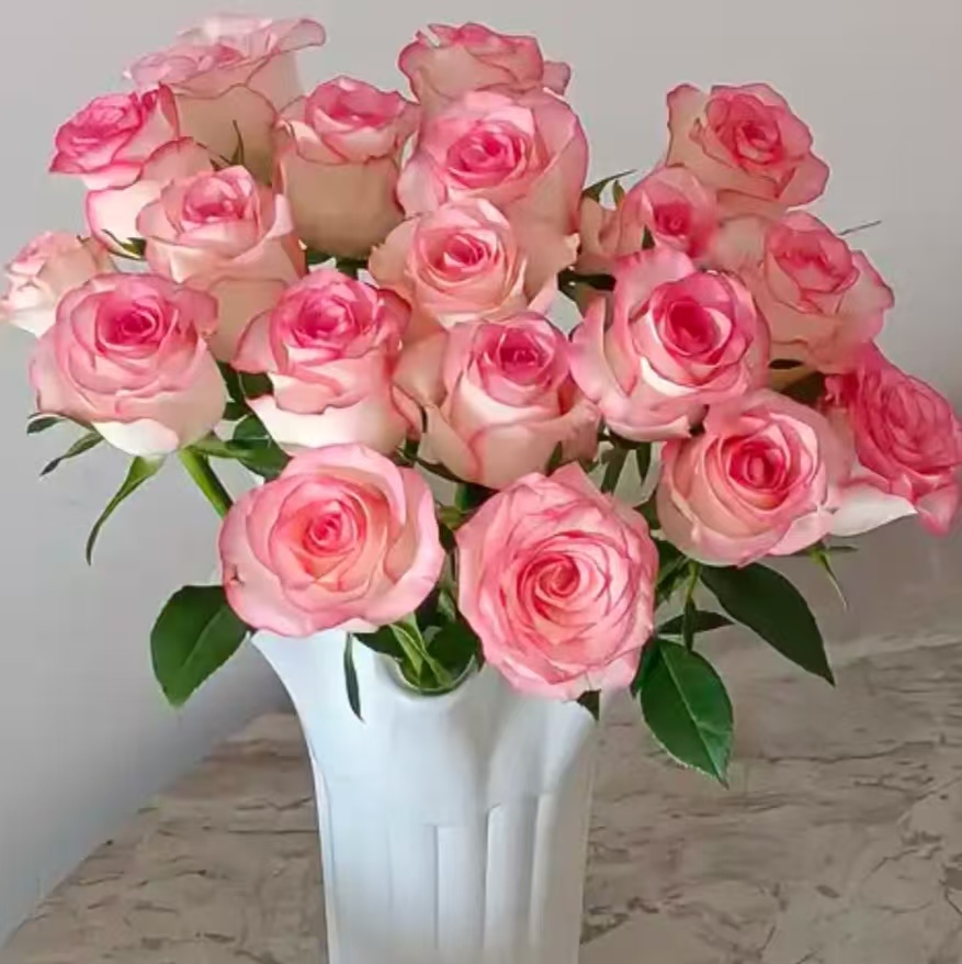 【艾莎玫瑰10支】 2单鲜花升级顺丰冷链/德邦空运