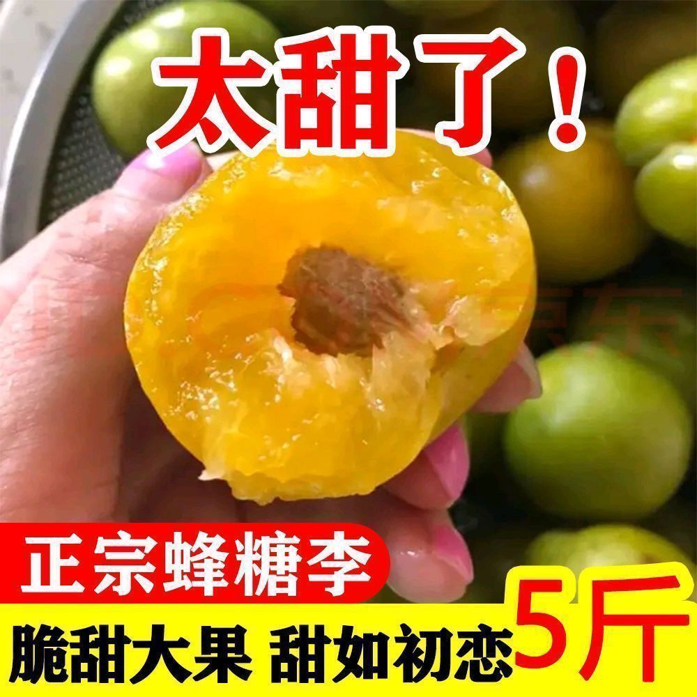 【顺丰】正宗蜂糖李当季新鲜水果脆甜爽口脱骨