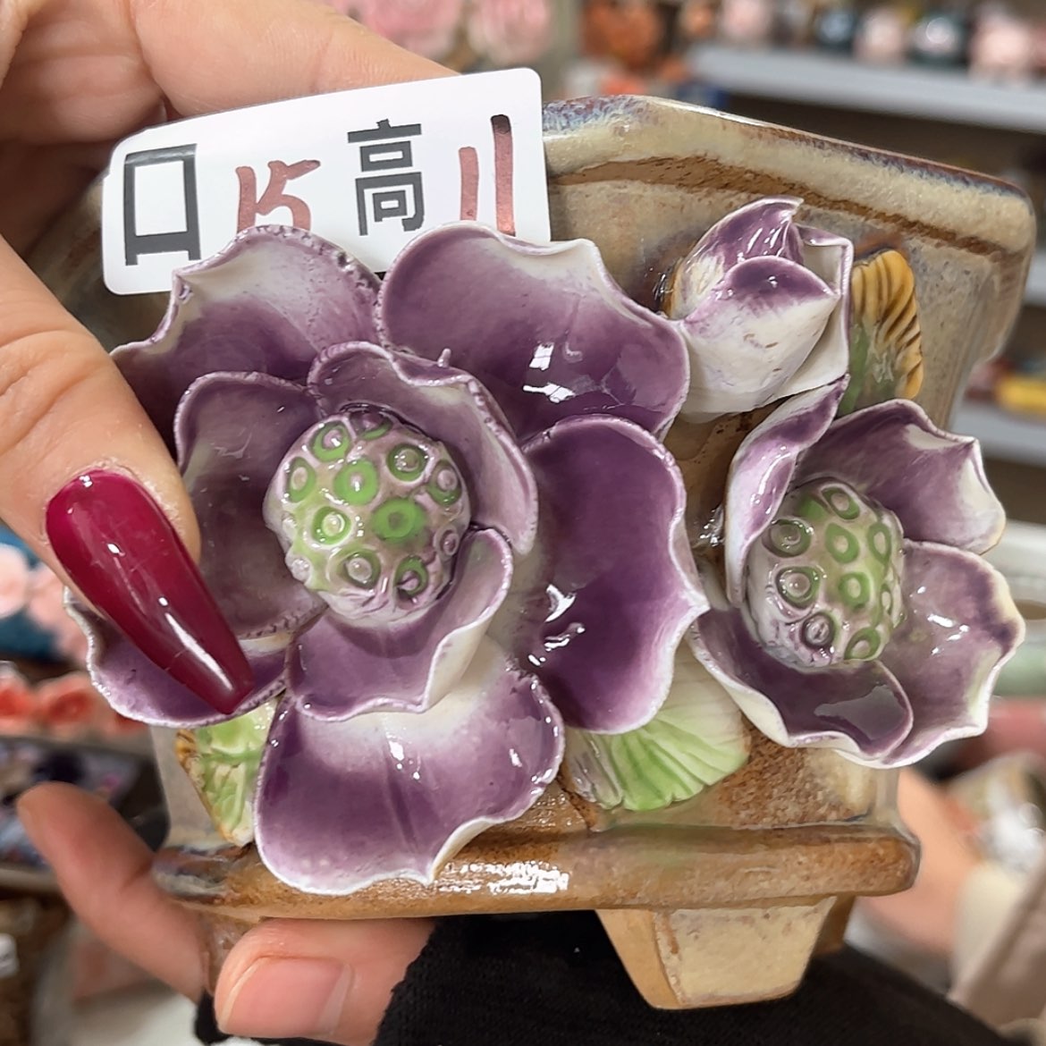 【闪购商品】红陶福利