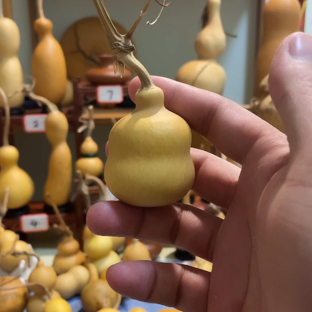 虾***碎文玩葫芦小墩墩葫芦