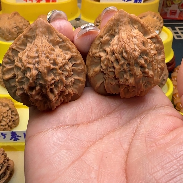 菩**生弯弯核桃一带管珠雀一带管朱雀