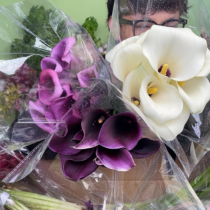 完全开放10号马蹄莲3把25支