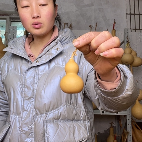 写**己天然植物葫芦文玩