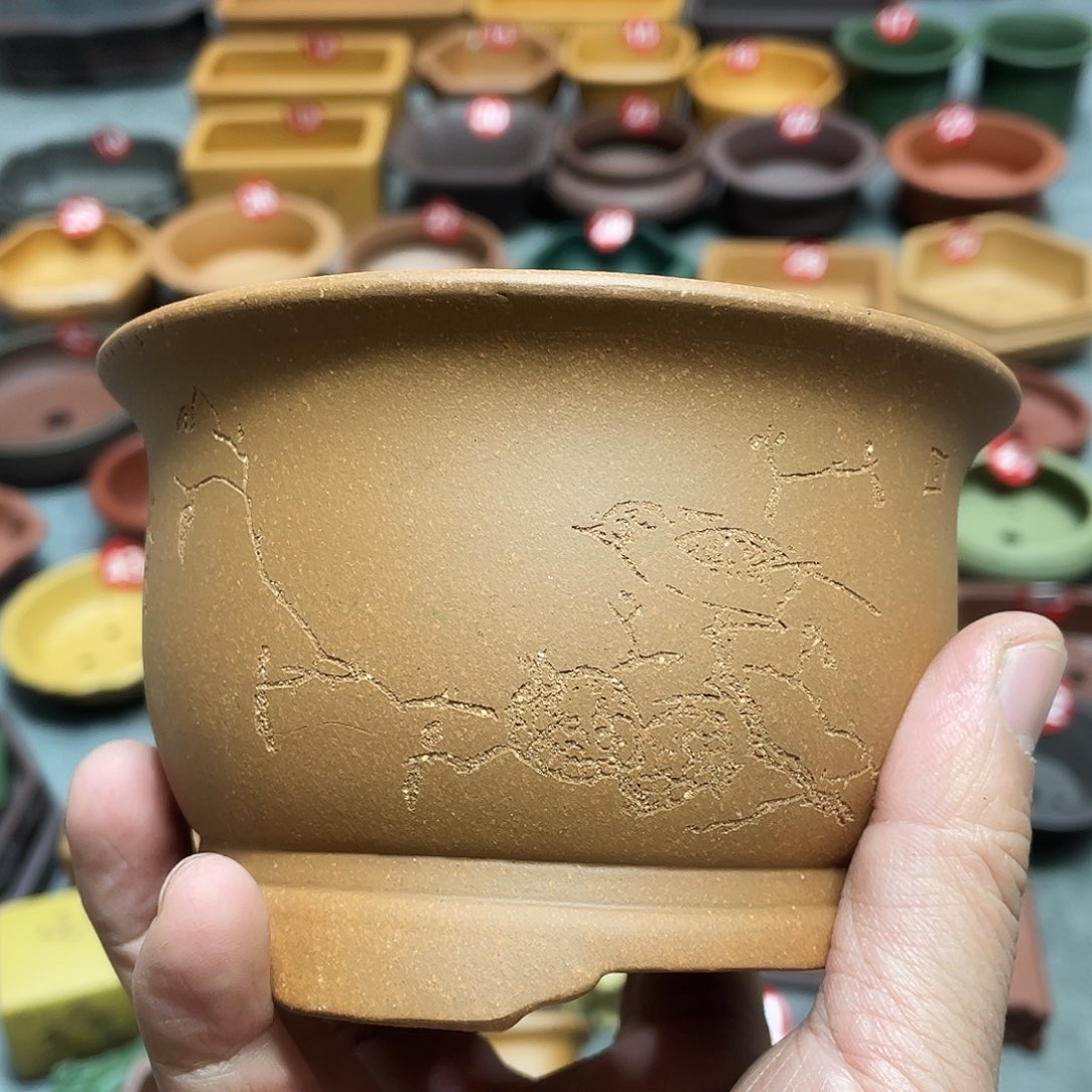 紫砂小盆10*7cmmmmm