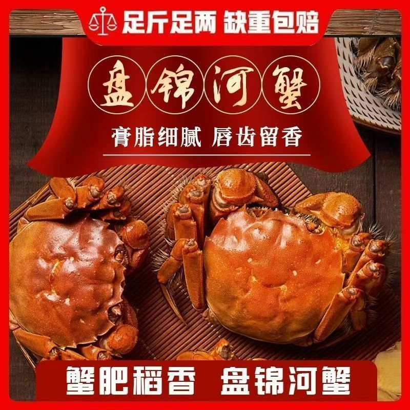 肥蟹【盘锦稻田蟹】全母蟹 鲜活发货包邮买20只送5只（1.3-1两/只）