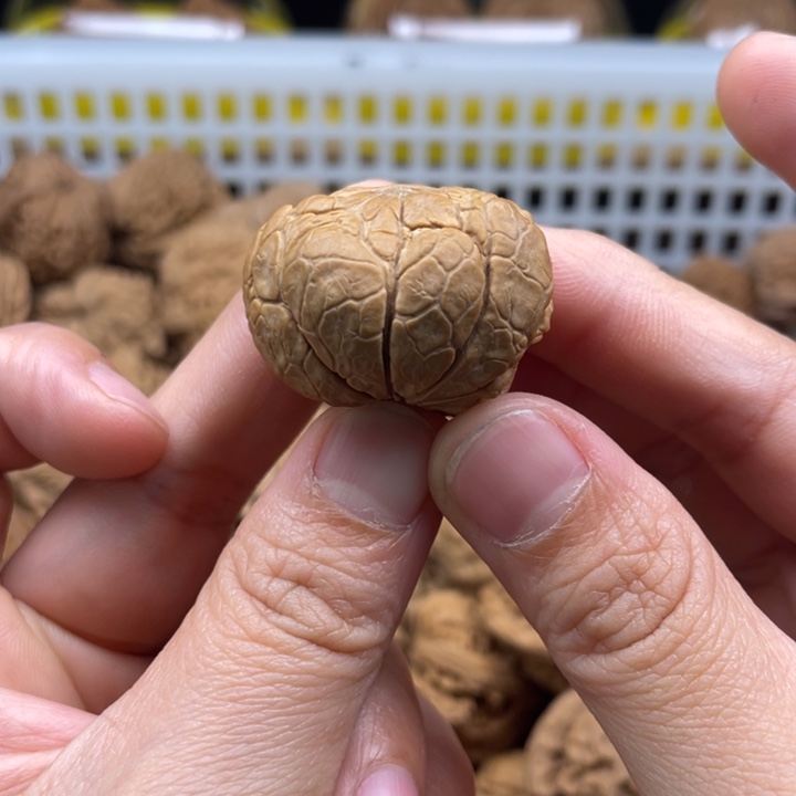 文玩核桃吊坠南疆舌头