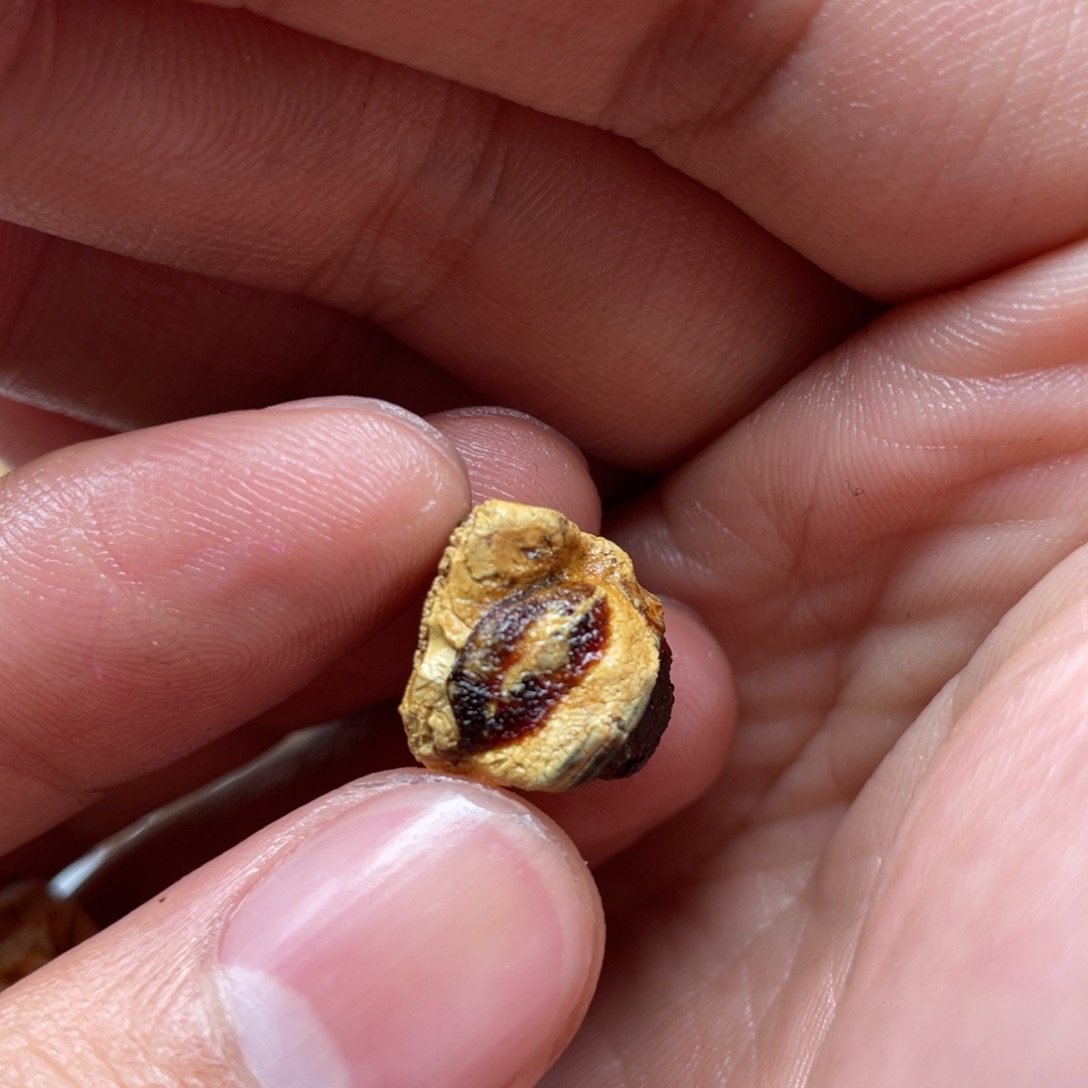 李***定制琥珀未镶嵌天然蜜蜡