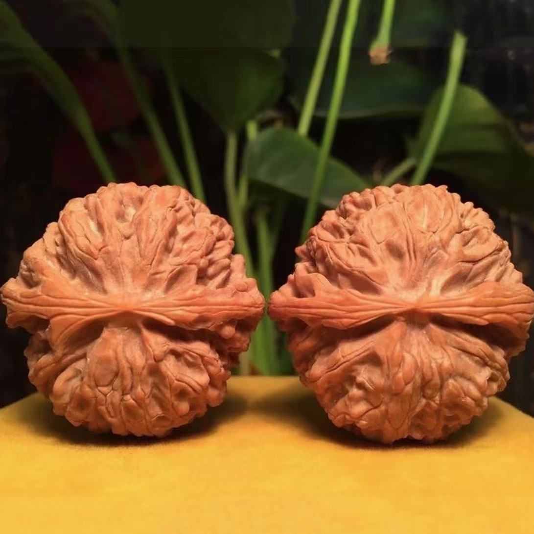 新手练手核桃特价福利（随机）