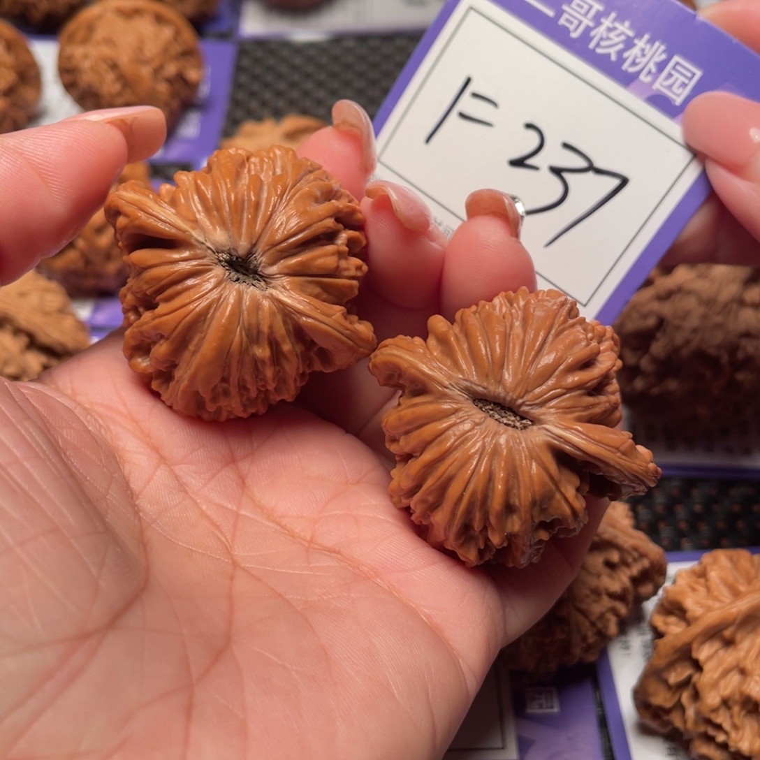 把件文玩核桃237号楼子43