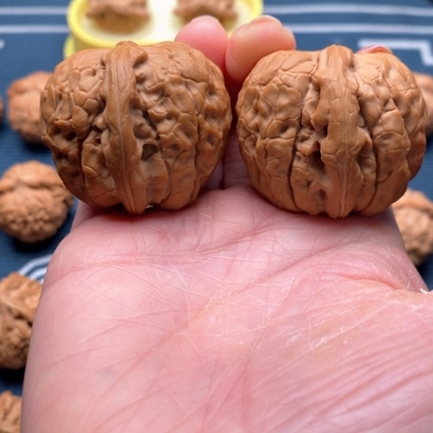 橄榄核手串/手链甲古文40