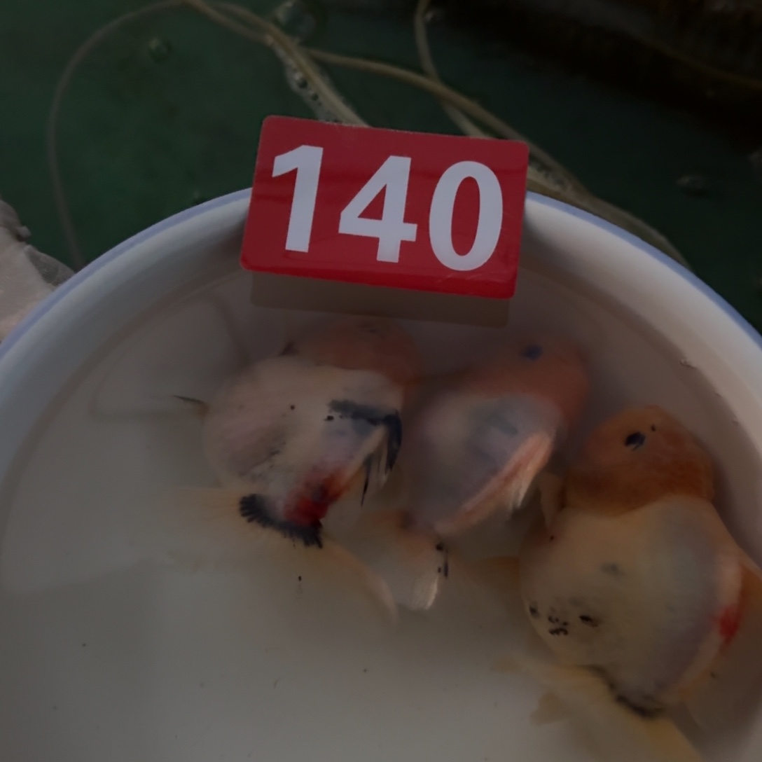 140包邮到家嘿嘿嘿嘿嘿嘿嘿嘿