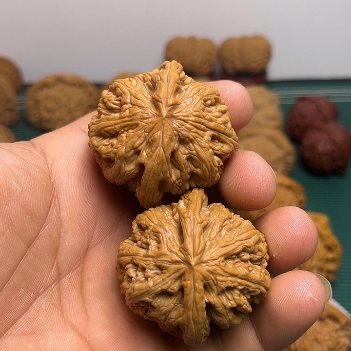 44尺大粗筋全品有打底