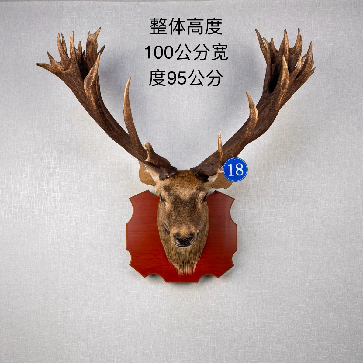 18号真鹿角真皮毛鹿头标本壁挂客厅酒吧办公室墙壁复古装饰挂饰