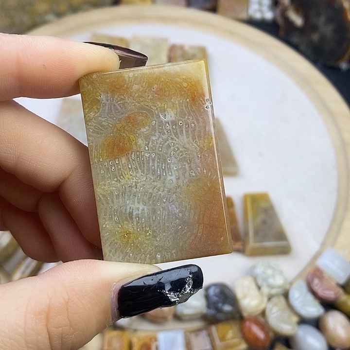 硅化玉未镶嵌颈饰11