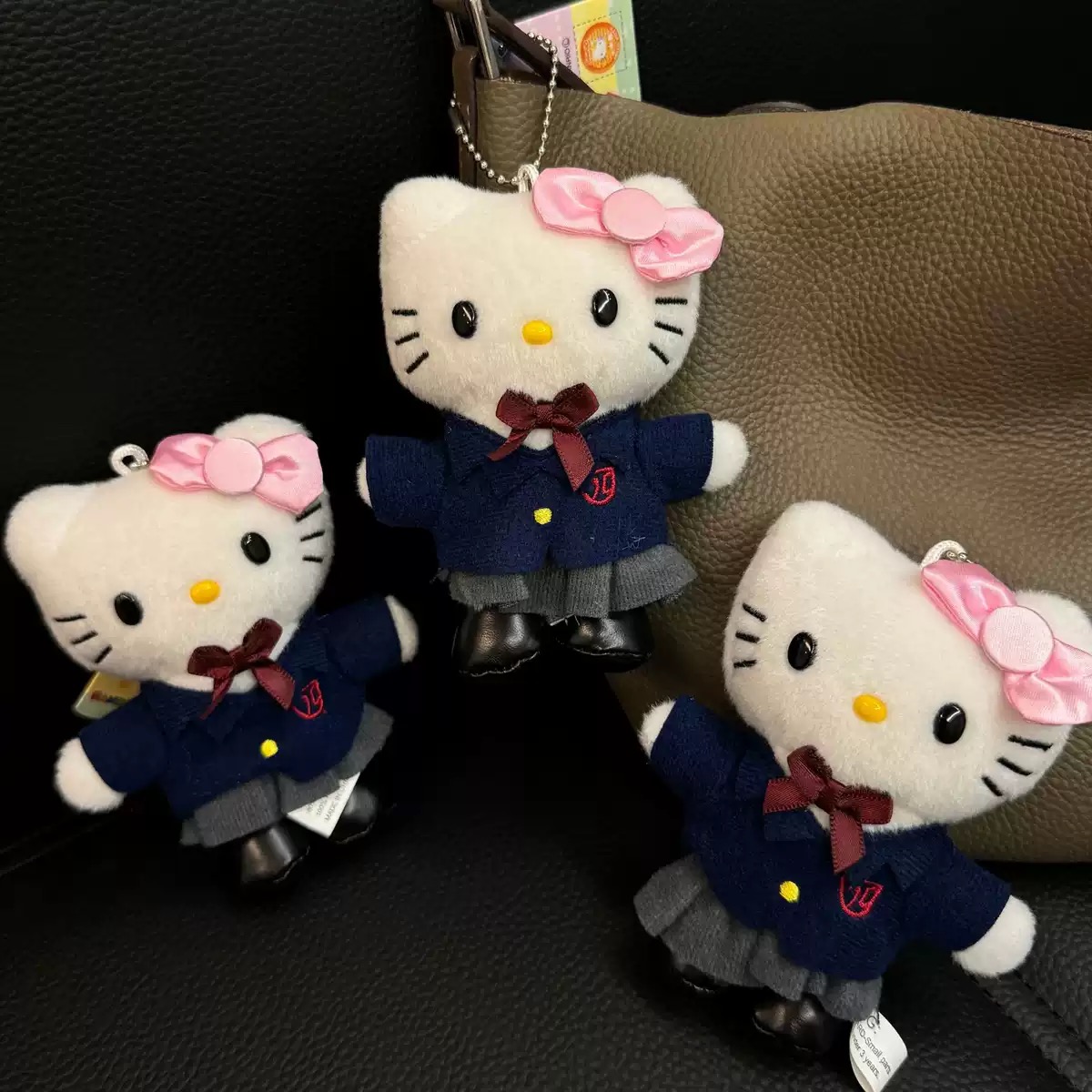 釜山高校-短腿kitty