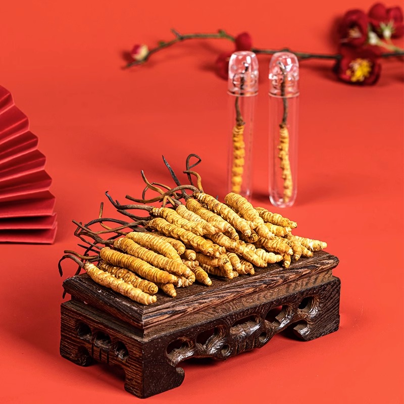 【20根大草】冬虫夏草2025年头期头茬足干新草优选干草