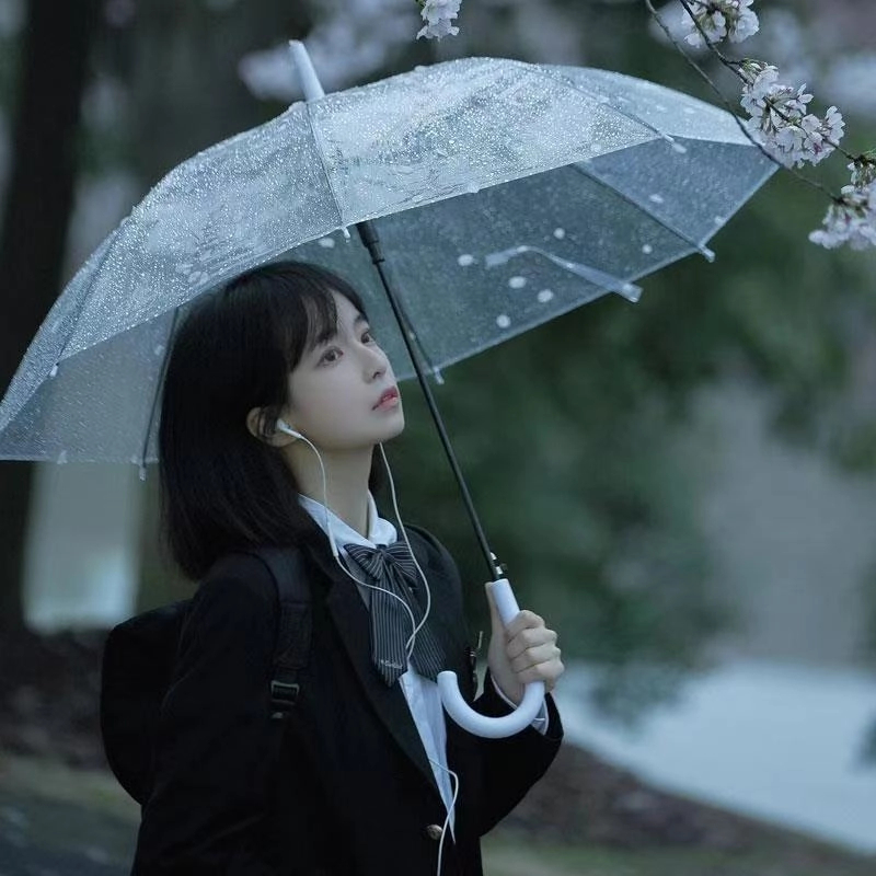 七号晴雨伞两用雨伞合集看编号下单 NO退NO换