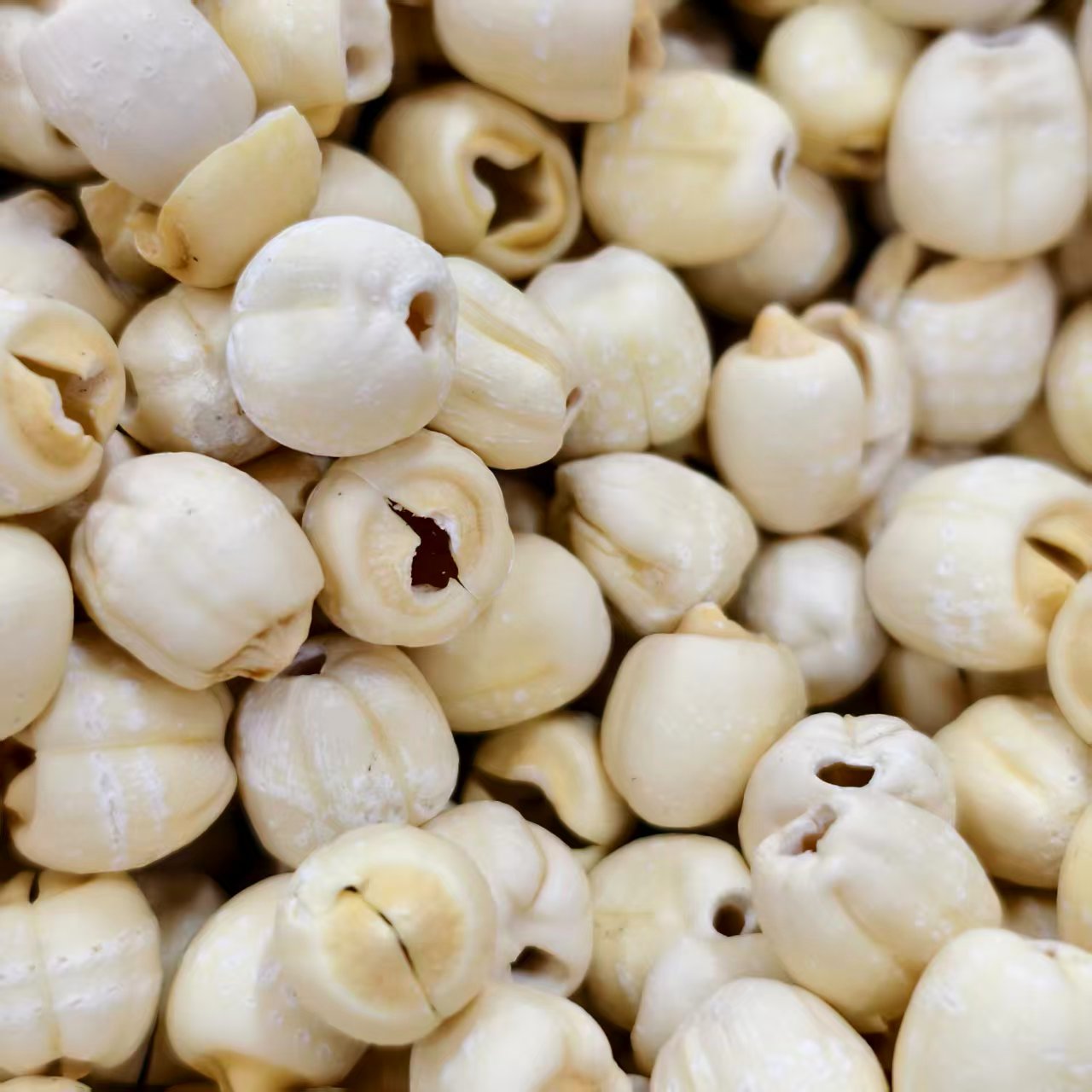 【阿泉专属】去芯磨皮干货莲子500g