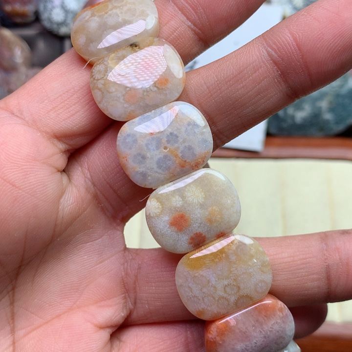 硅化珊瑚（珊瑚玉）颈饰未镶嵌