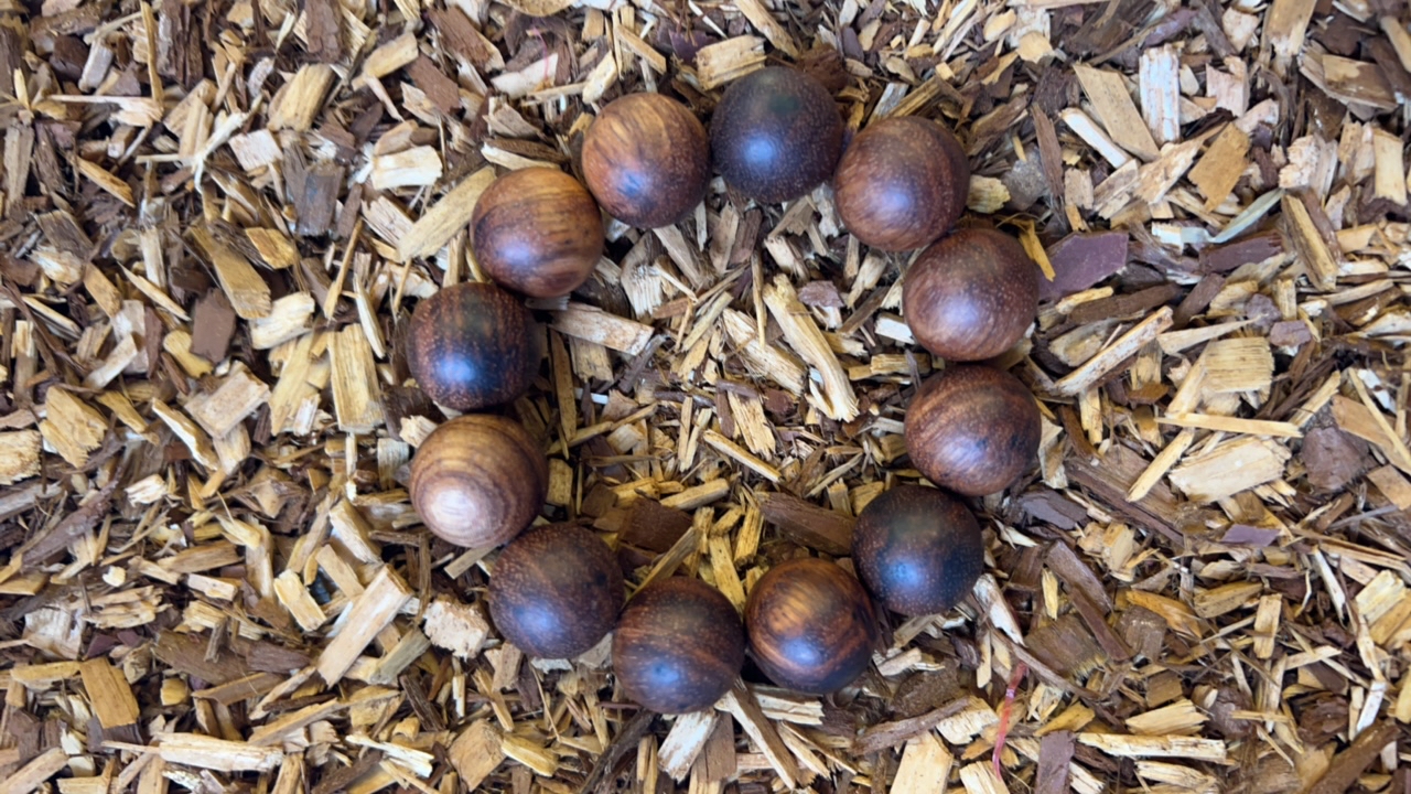 沉香z194 福来精选高端文玩