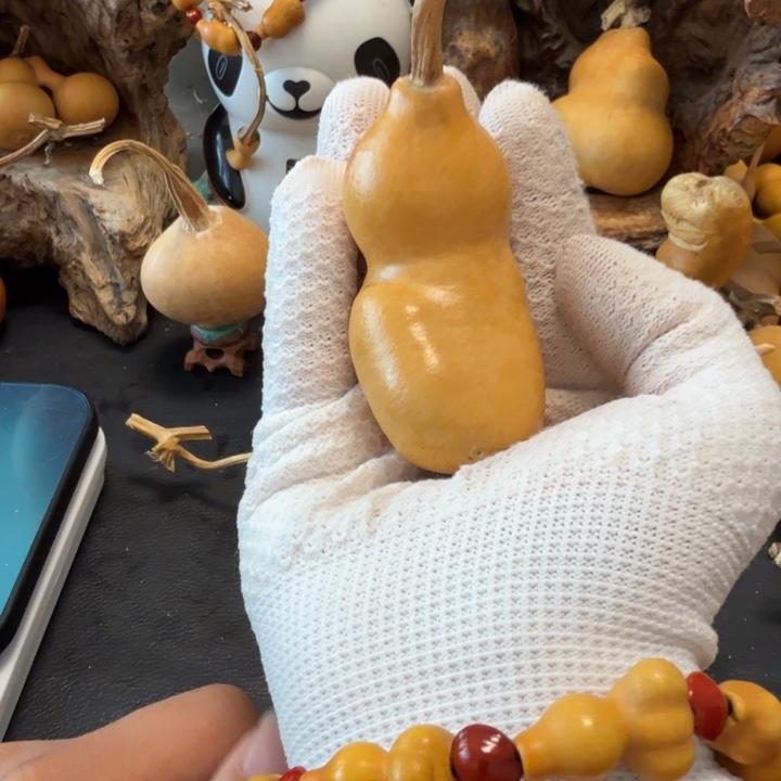 凹***口6………………………………………………