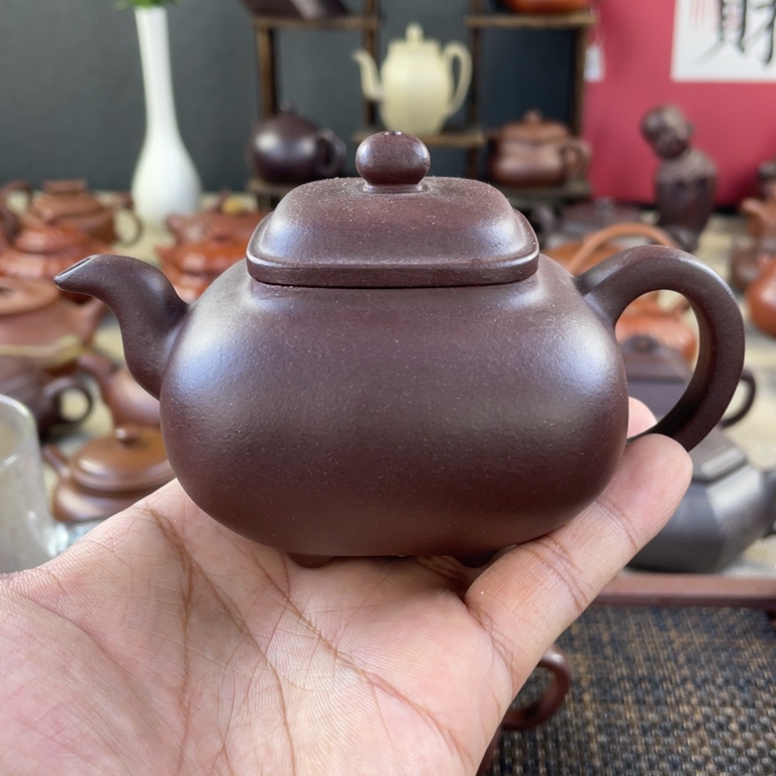紫砂茶壶255855555588555888