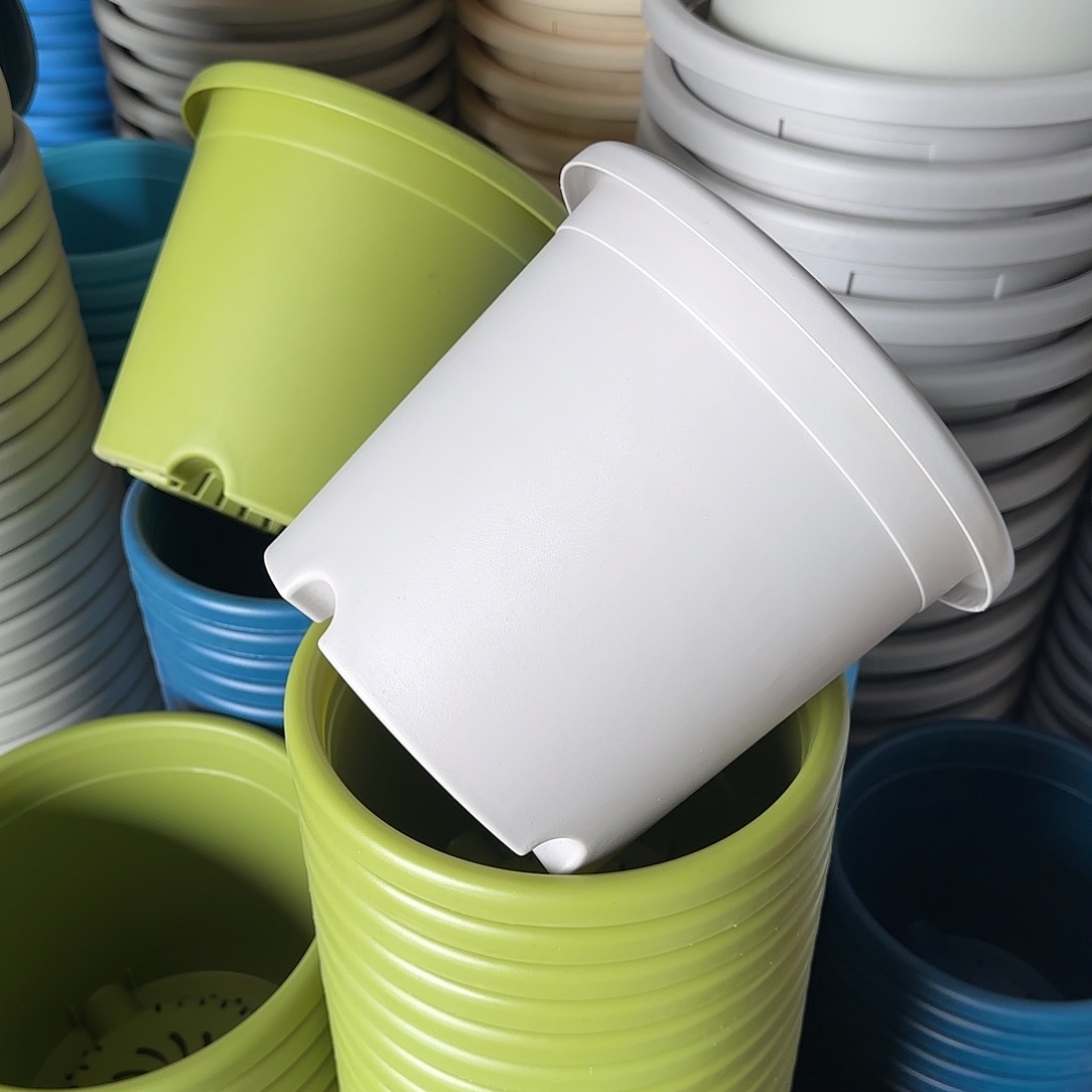 树脂四季4号无托8个灰白微瑕