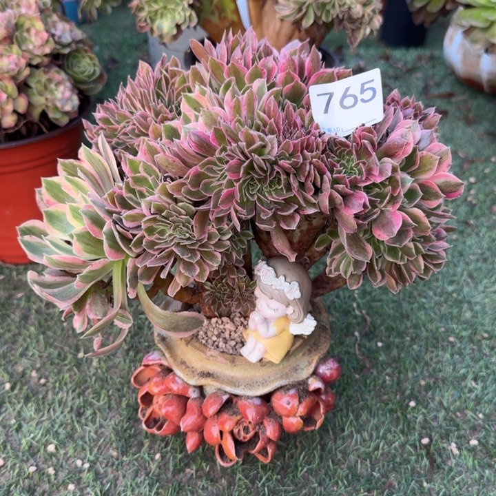 男神法师锦自然朵朵缀化765
