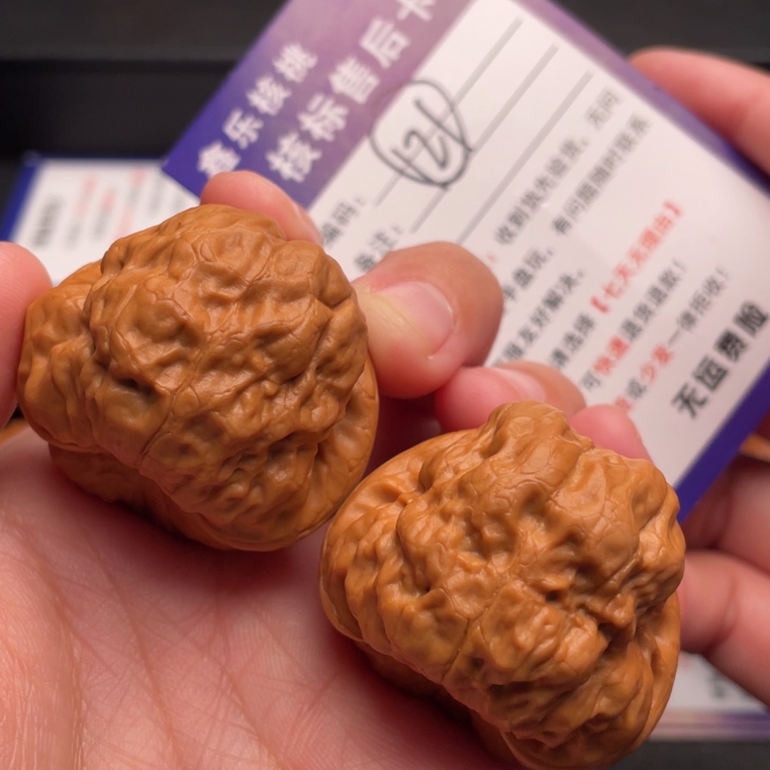 把件文玩核桃古蝉38