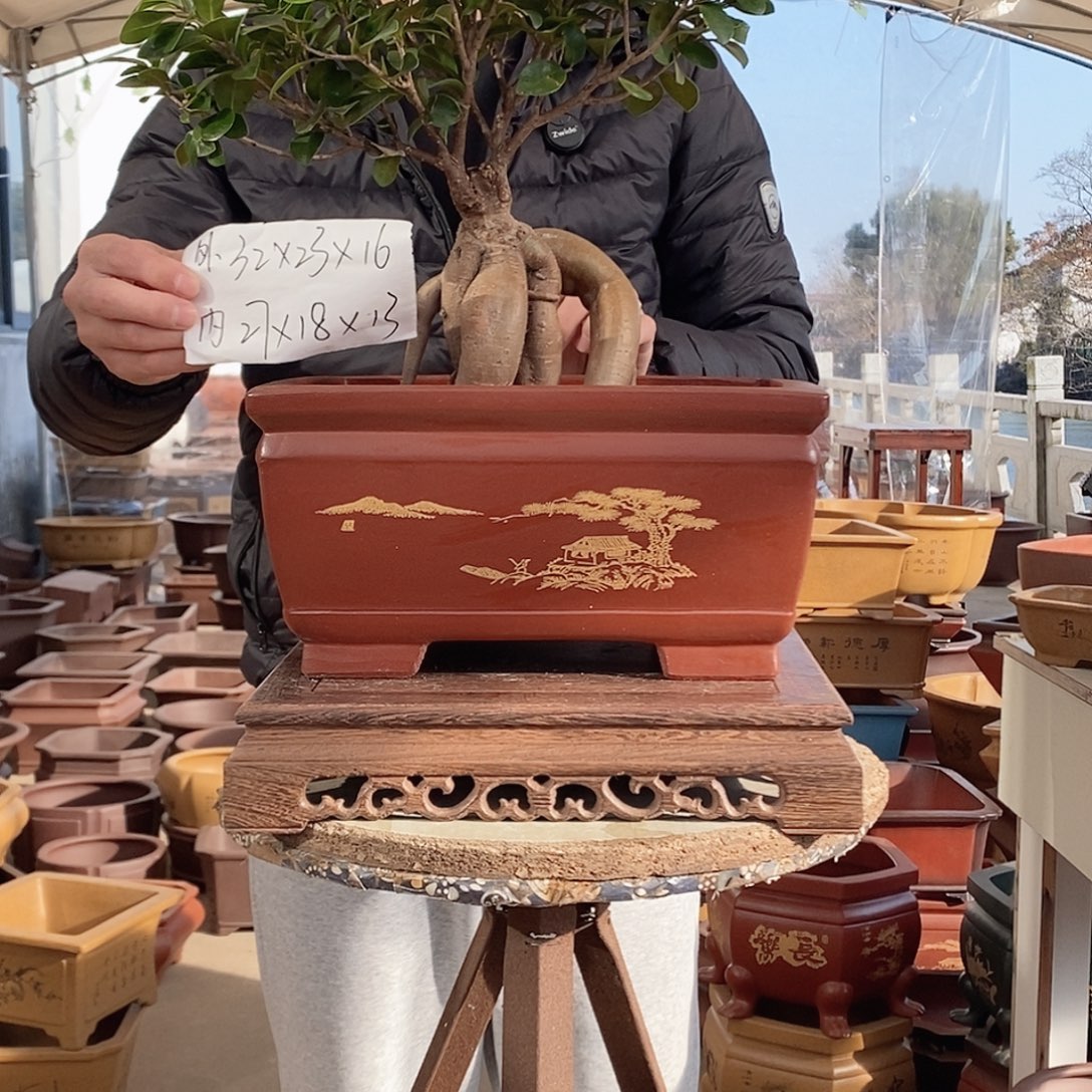 紫砂花盆紫砂花盆