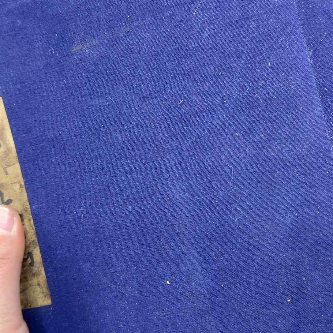 茶宠茶宠哈哈哈哈哈哈哈哈