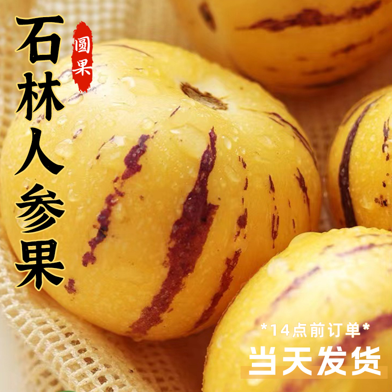 云南石林人参果5斤现摘树上熟黄肉圆果清甜多汁新鲜水果大果包邮