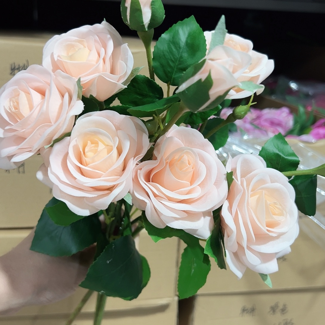 3枝香槟手感玫瑰。    
